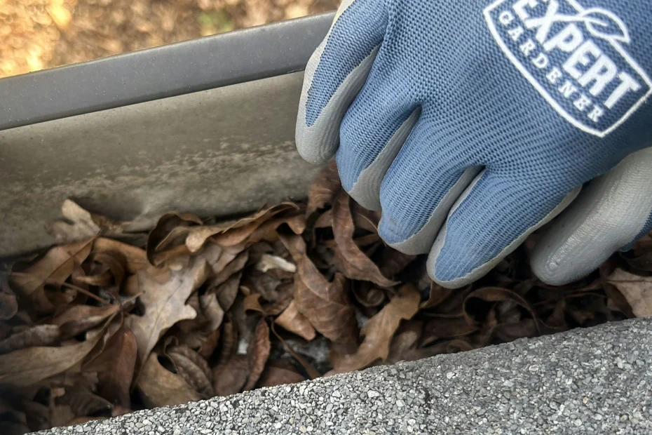 Gutter Cleaning Flagler Beach FL