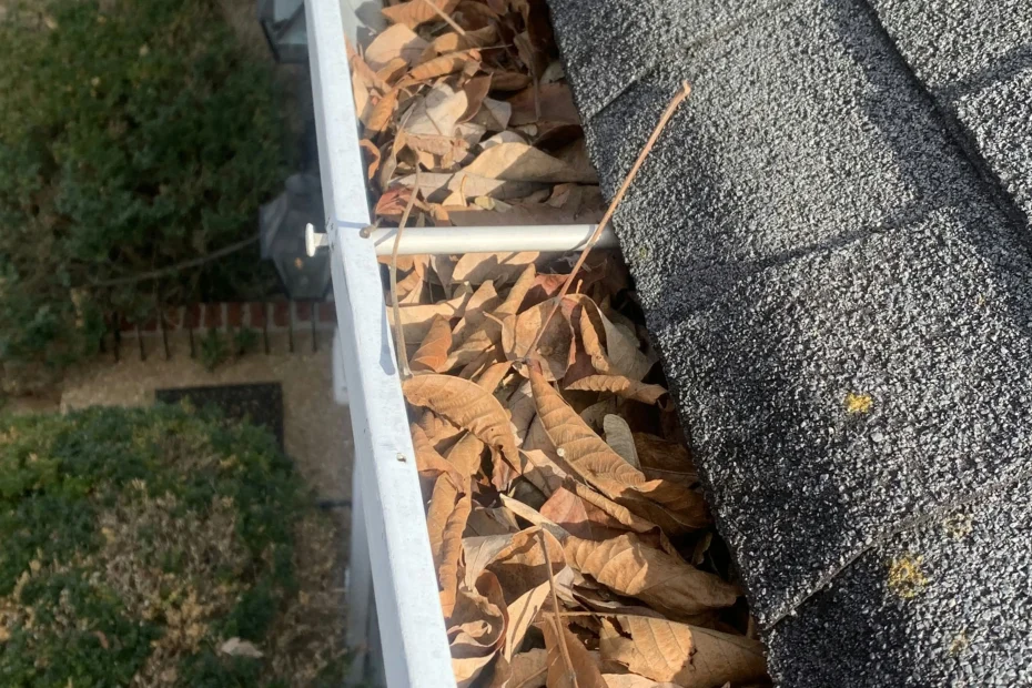 Gutter Cleaning Flagler Beach FL