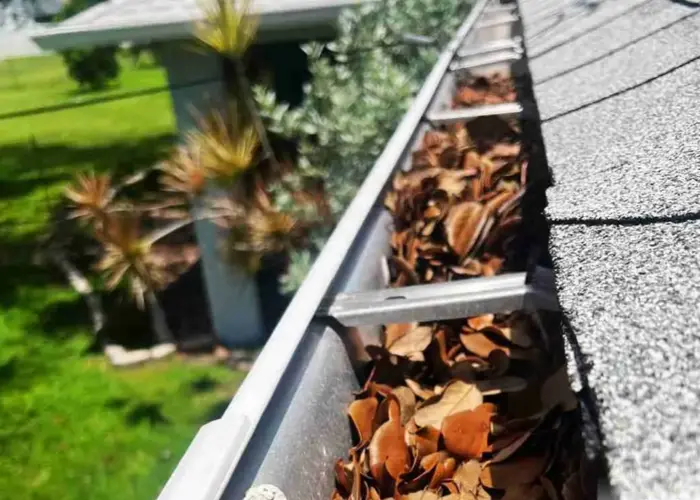 Gutter Cleaning Flagler Beach FL home page